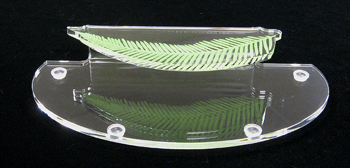 Amentiy trays and custom displays